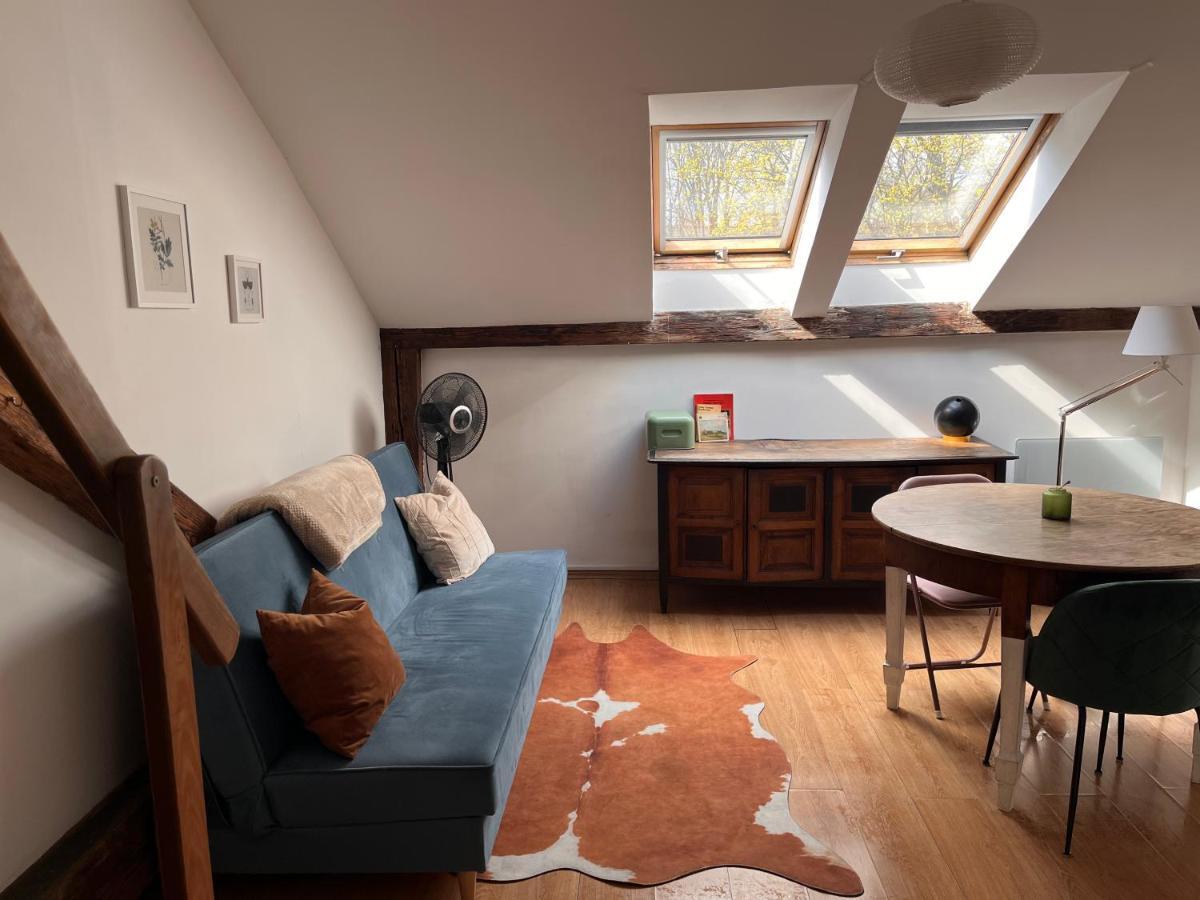 Appartement Vieille Ville 克拉科夫 外观 照片